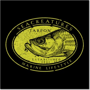 Tarpon Posters and Art